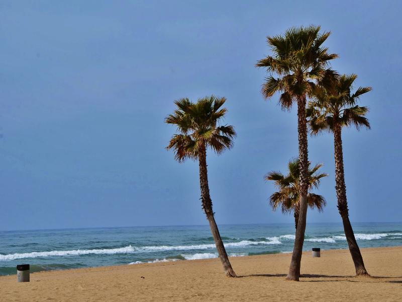 Camping Estival Vendrell Platja Coma-ruga Eksteriør billede