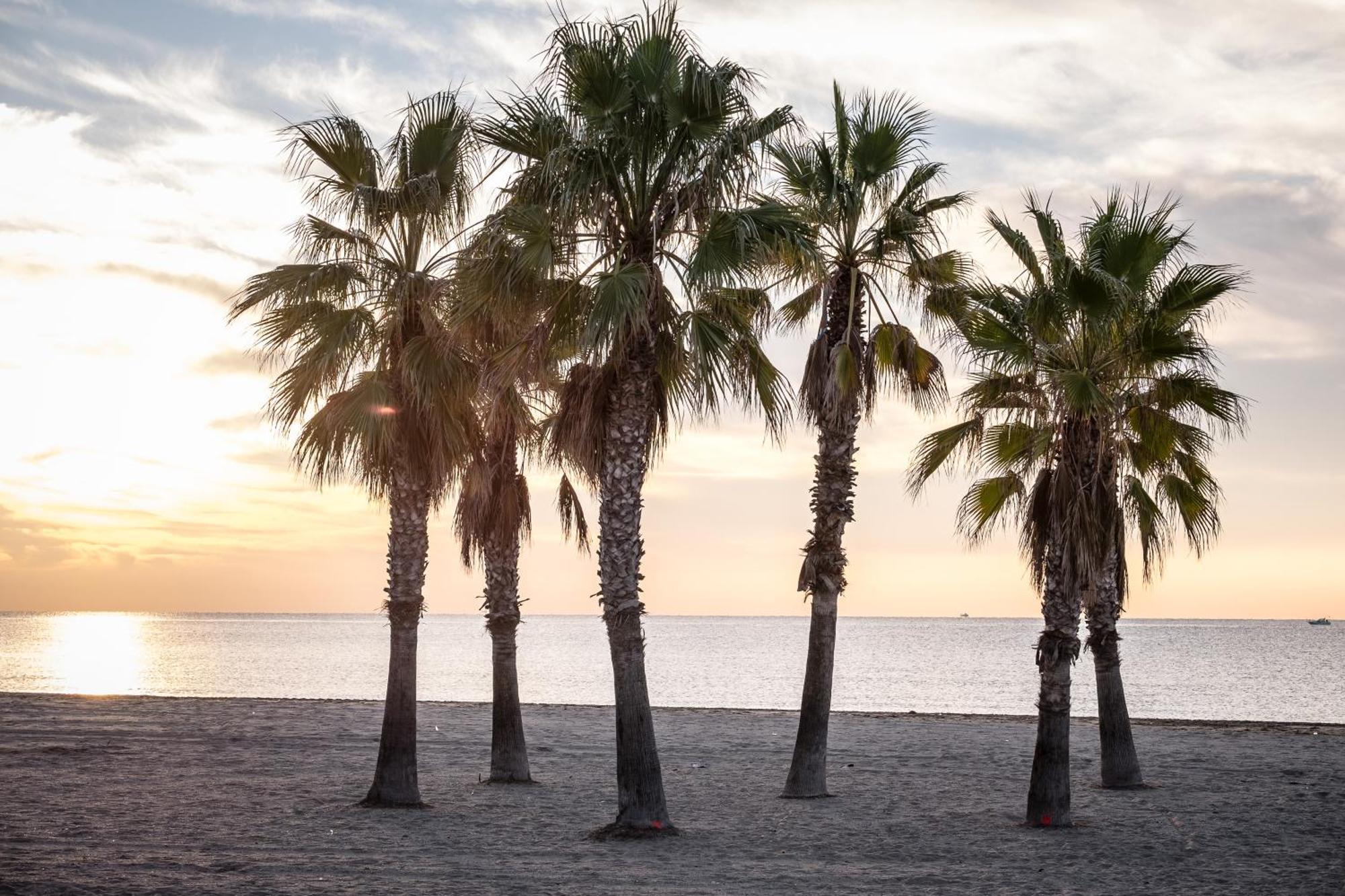 Camping Estival Vendrell Platja Coma-ruga Eksteriør billede